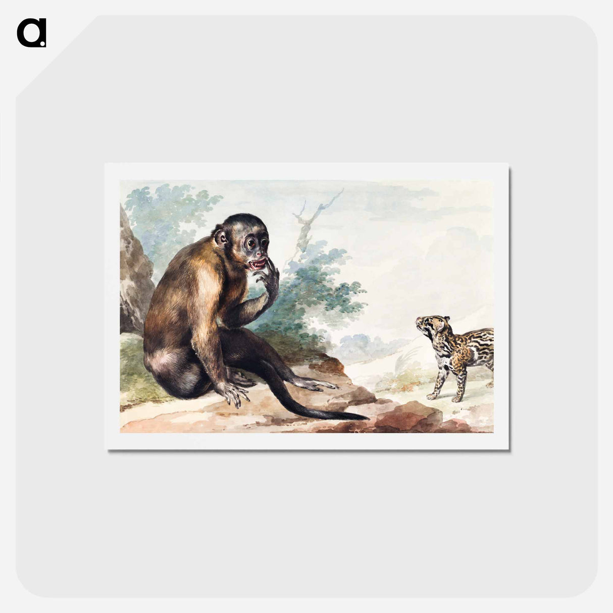 A Monkey Sitting on a Rock Looking at a Civet - アールト シューマン Postcard.