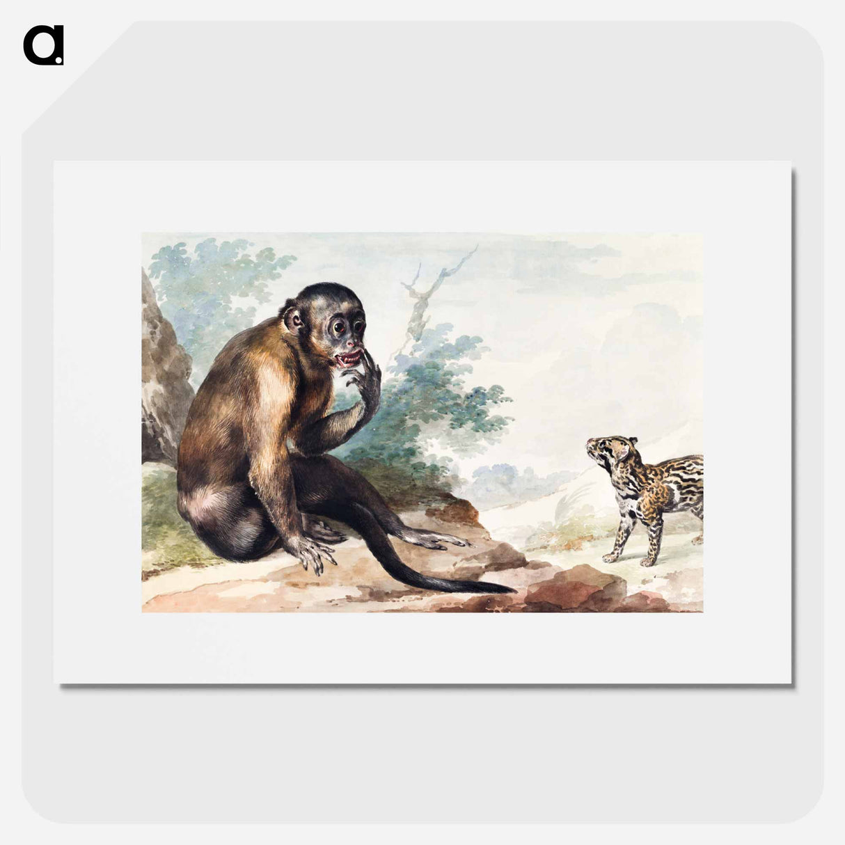 A Monkey Sitting on a Rock Looking at a Civet - アールト シューマン Poster.