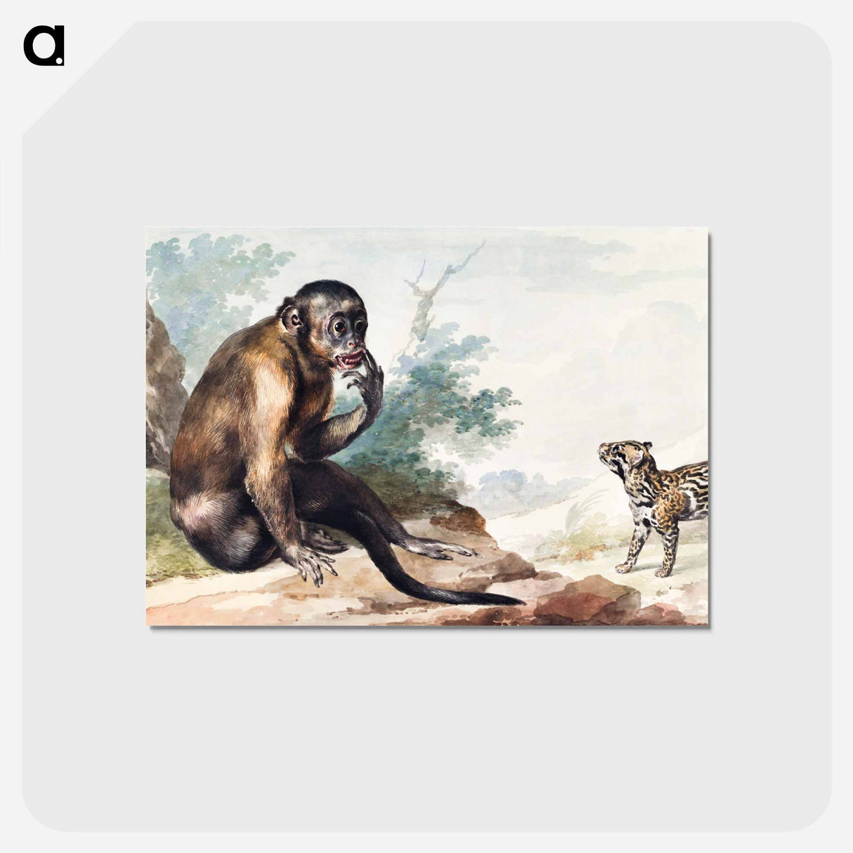 A Monkey Sitting on a Rock Looking at a Civet - アールト シューマン Postcard.