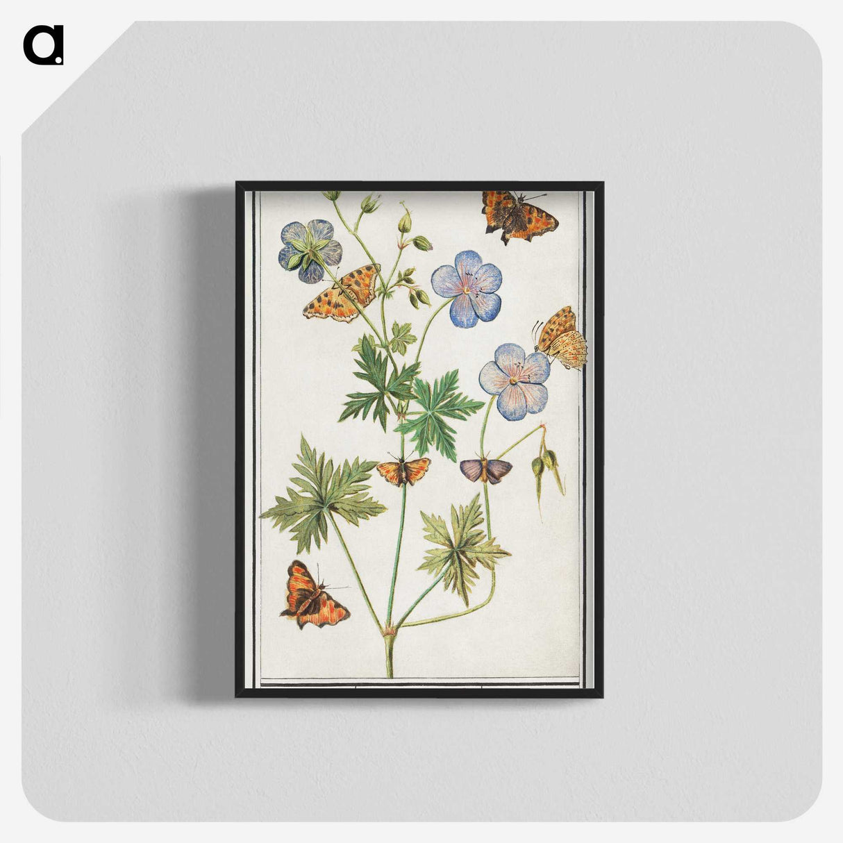 1-27_Anselmus-Boetius-de-Boodt_blk-crop