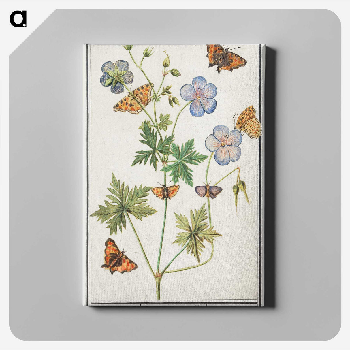 1-27_Anselmus-Boetius-de-Boodt_canvas