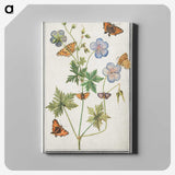 1-27_Anselmus-Boetius-de-Boodt_canvas