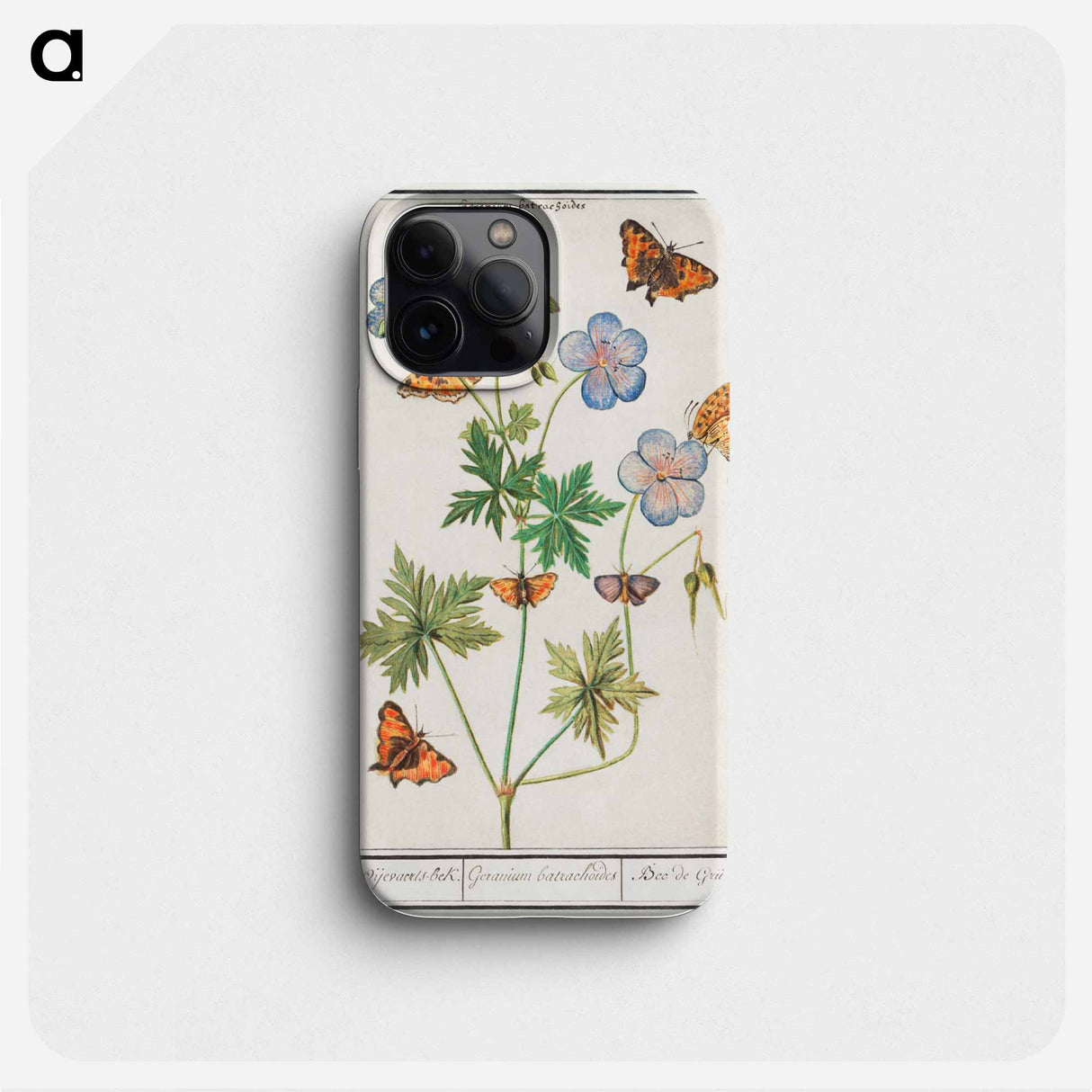 Pelargonium, probably Bearded Pelargonium, Geranium pratense - アンセルムス ボエティウス デ ブート Phone Case.