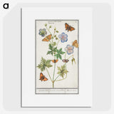 1-27_Anselmus-Boetius-de-Boodt_picture