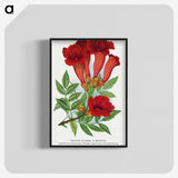 1-27_Botanical-Specimen-Plates_blk-crop