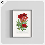 1-27_Botanical-Specimen-Plates_blk