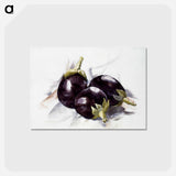 アートポストカード-Eggplants - チャールズ デムス Postcard.
