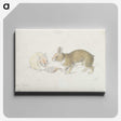 1-27_Charles-Hamilton-Smith_canvas