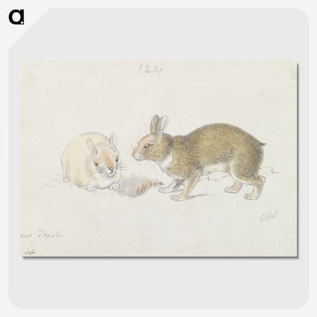1-27_Charles-Hamilton-Smith_picture-crop