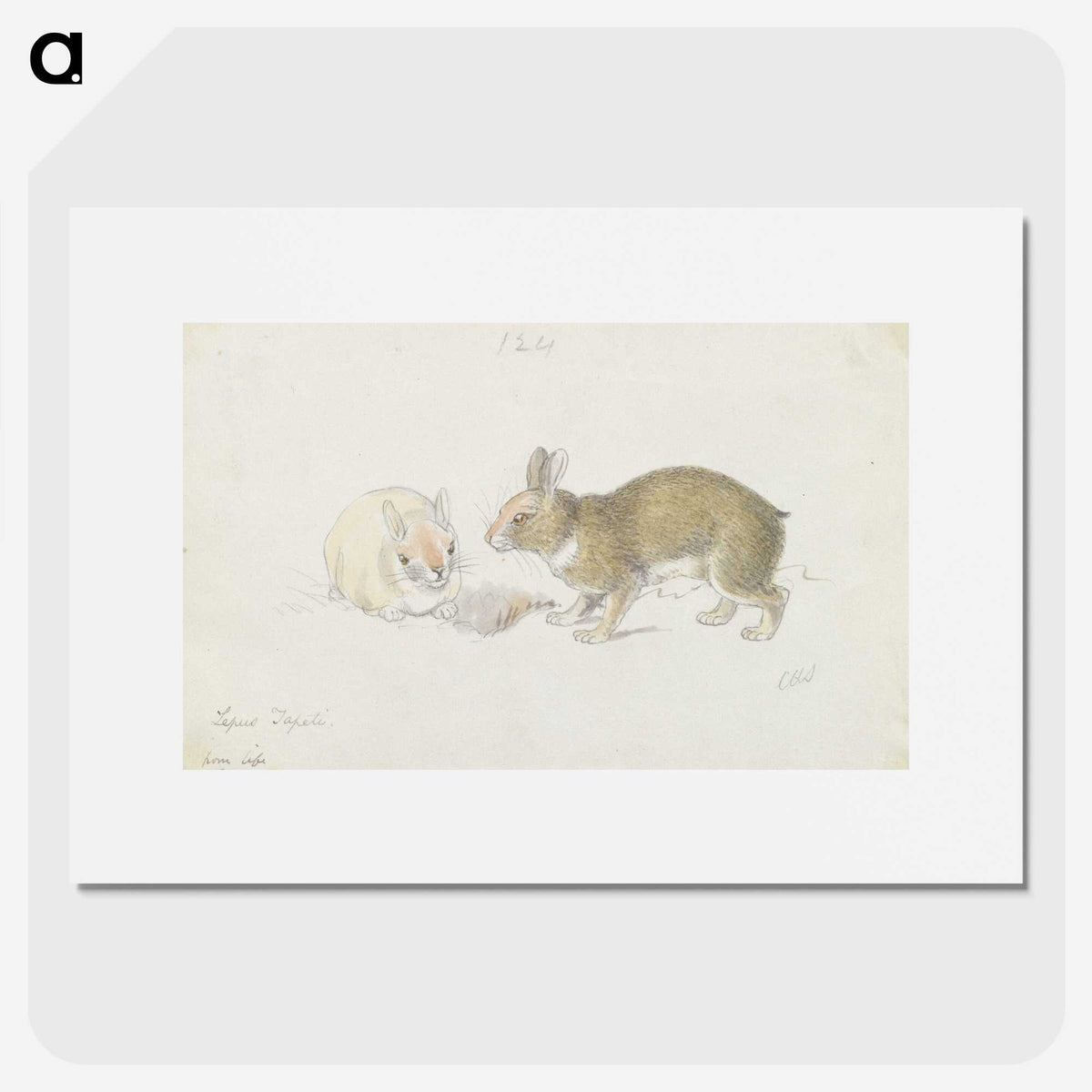 1-27_Charles-Hamilton-Smith_picture