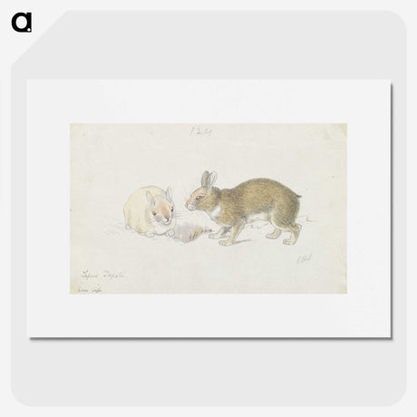 1-27_Charles-Hamilton-Smith_picture