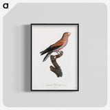 1-27_Des-Oiseaux-de-Paradis_blk-crop