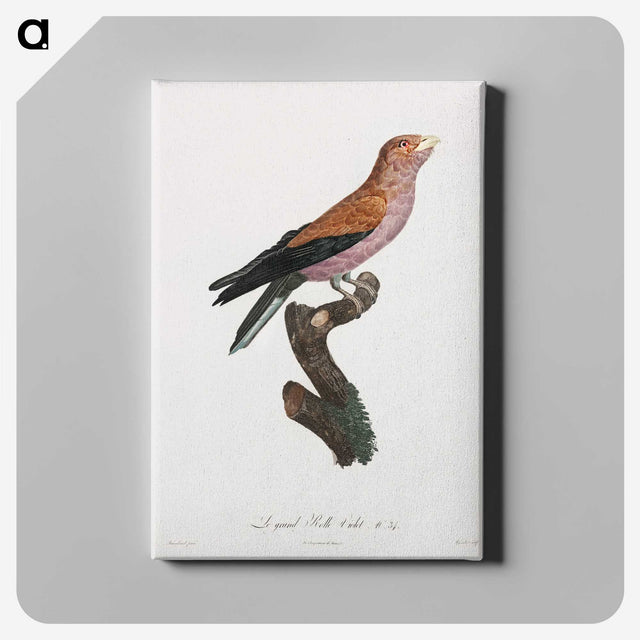 1-27_Des-Oiseaux-de-Paradis_canvas