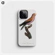 1-27_Des-Oiseaux-de-Paradis_phone
