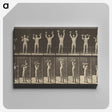 1-27_Eadweard-Muybridge_canvas