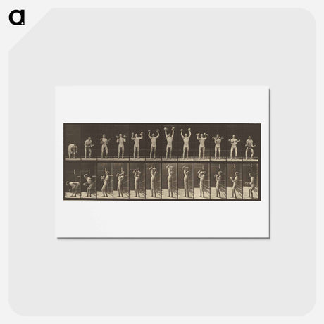 アートポストカード-Animal Locomotion
 - エドワード マイブリッジ Postcard.