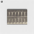 1-27_Eadweard-Muybridge_memo