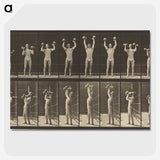 1-27_Eadweard-Muybridge_picture-crop