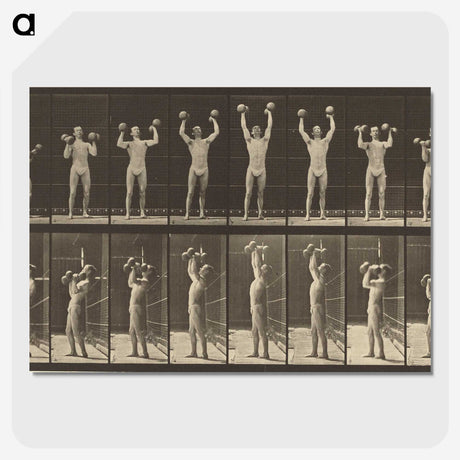 1-27_Eadweard-Muybridge_picture-crop