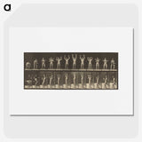 1-27_Eadweard-Muybridge_picture