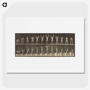 1-27_Eadweard-Muybridge_picture