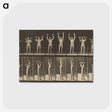 1-27_Eadweard-Muybridge_postcard