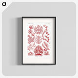 1-27_Ernst-Haeckel_blk