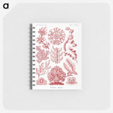1-27_Ernst-Haeckel_memo