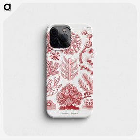 1-27_Ernst-Haeckel_phone