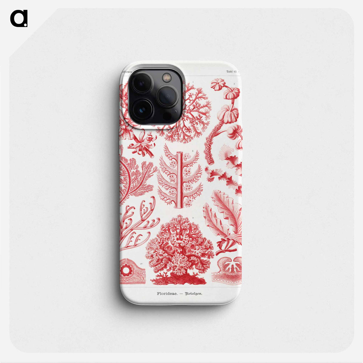 Florideae–Rotalgen - エルンスト ヘッケル Phone Case.