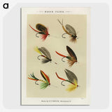 1-27_Favorite-Flies-and-Their-History_picture-crop