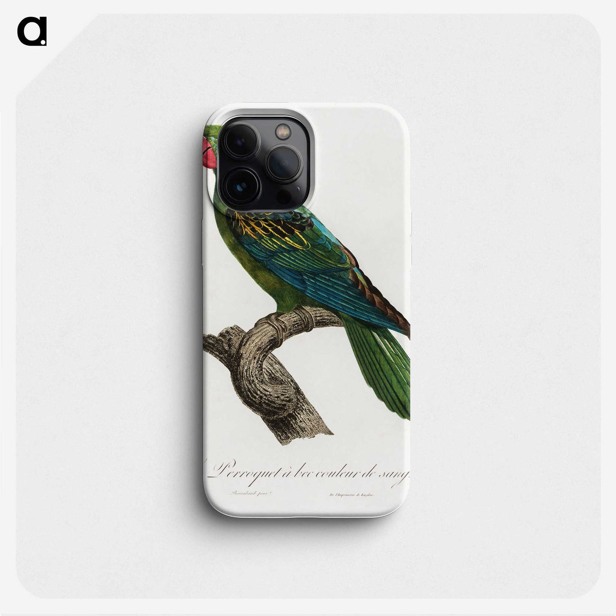 1-27_Francois-Levaillant_phone