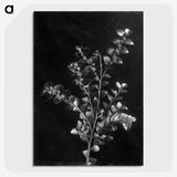 1-27_Frederick-Charles-Brockett_picture-crop