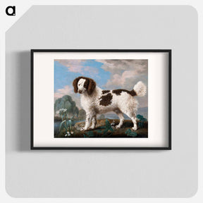 アートポスター-Norfolk or Water Spaniel
 - ジョージ スタッブス Poster.