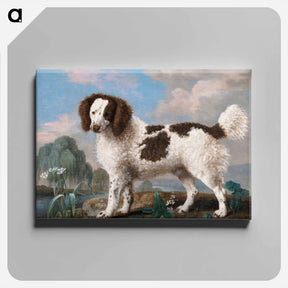 アートパネル-Norfolk or Water Spaniel
 - ジョージ スタッブス Canvas.