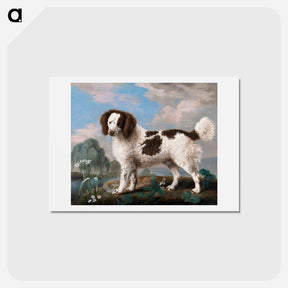 アートポストカード-Norfolk or Water Spaniel
 - ジョージ スタッブス Postcard.