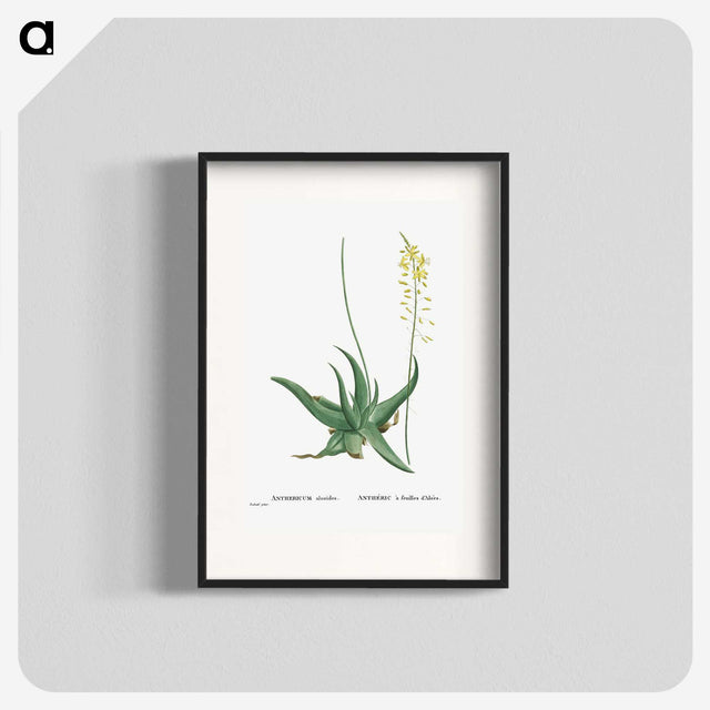 1-27_Histoire-des-Plantes-Grasses_blk