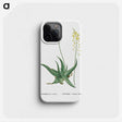 1-27_Histoire-des-Plantes-Grasses_phone
