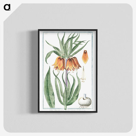 1-27_Hortus-Romanus-Botanical-Plates_blk-crop