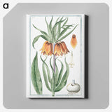 1-27_Hortus-Romanus-Botanical-Plates_canvas