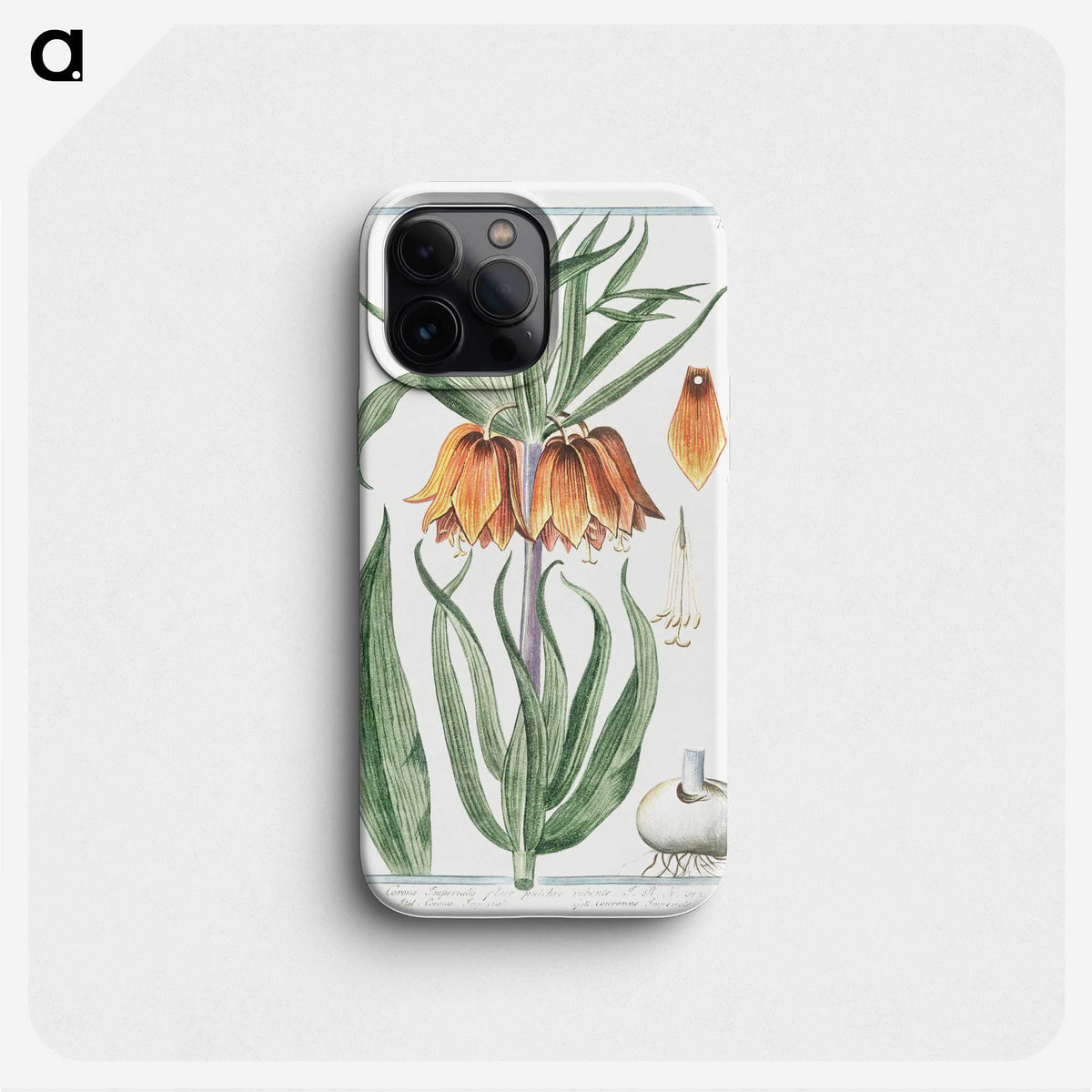 1-27_Hortus-Romanus-Botanical-Plates_phone