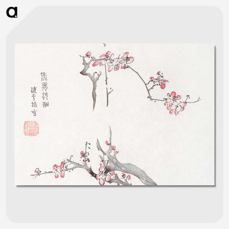 1-27_Hu-Zhengyan_picture-crop