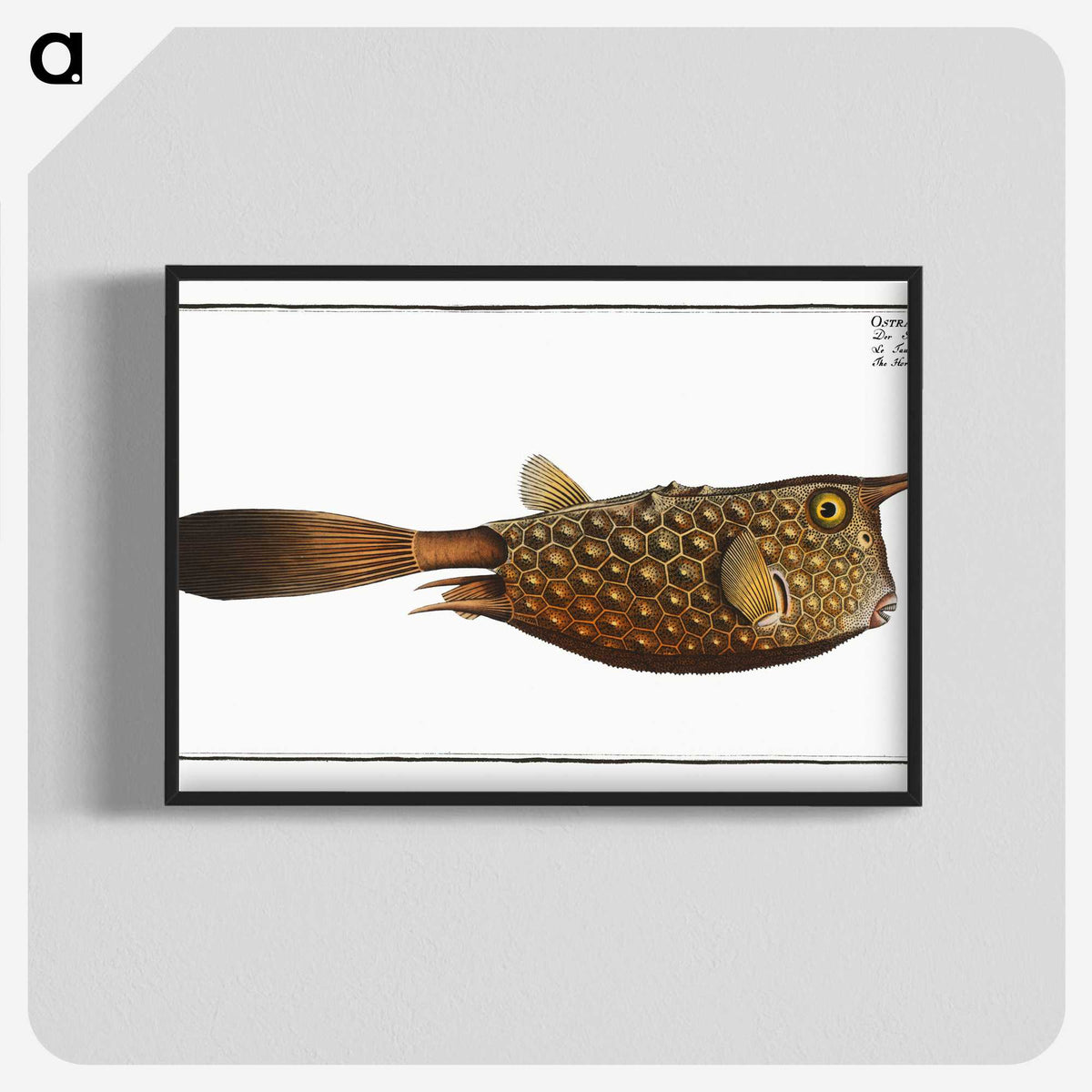 1-27_Ichtyologie-ou-Histoire-naturelle_blk-crop