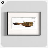 1-27_Ichtyologie-ou-Histoire-naturelle_blk