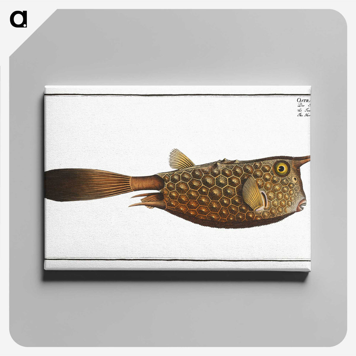 1-27_Ichtyologie-ou-Histoire-naturelle_canvas