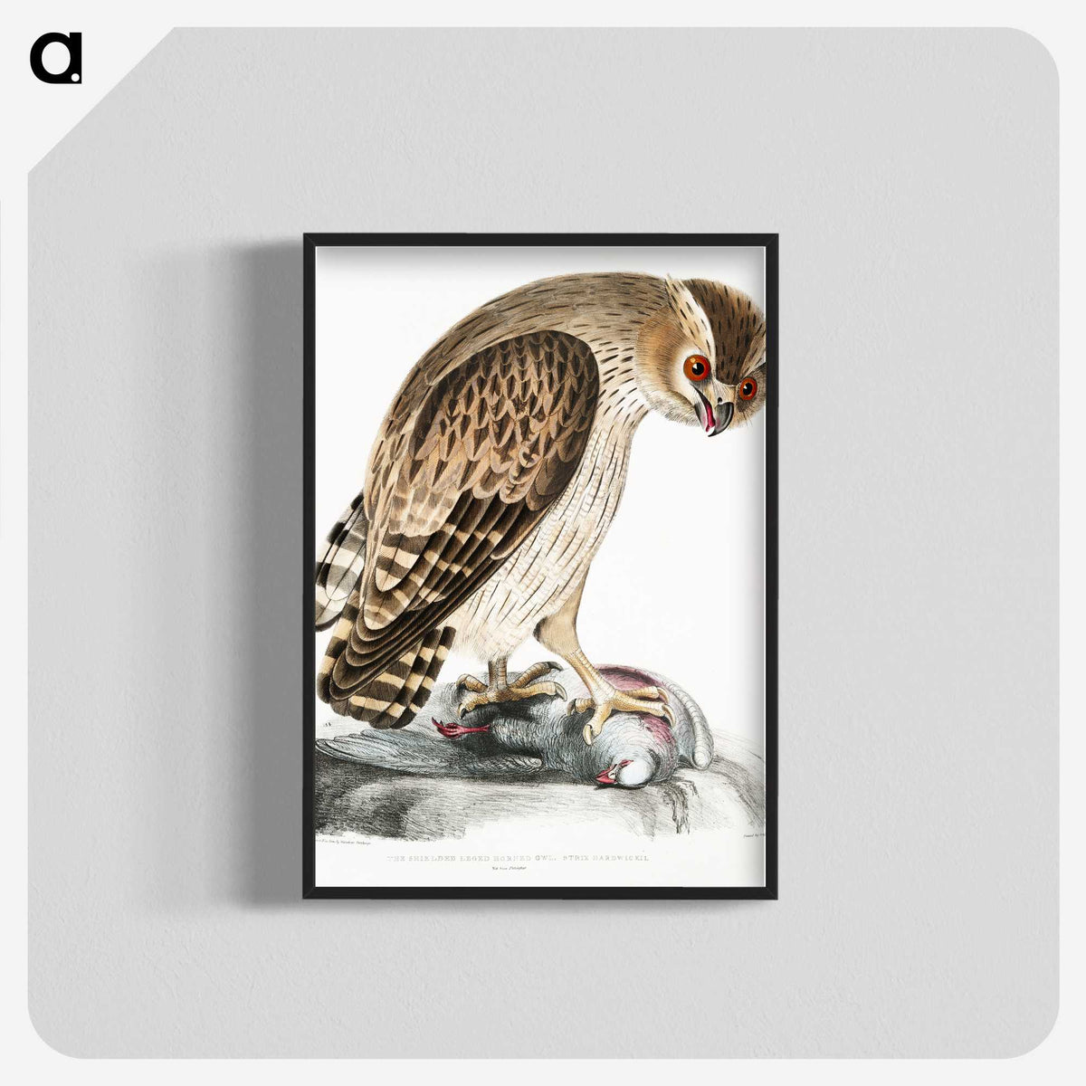 1-27_Indian-Zoology_blk-crop