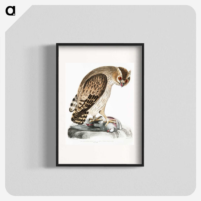 1-27_Indian-Zoology_blk