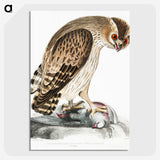 1-27_Indian-Zoology_picture-crop