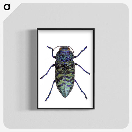 1-27_Insects-Unlocked-Project_blk-crop