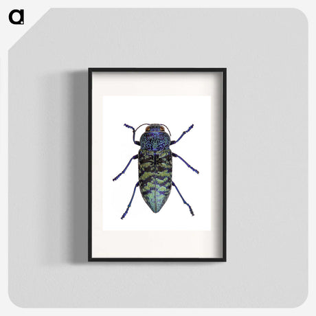 1-27_Insects-Unlocked-Project_blk